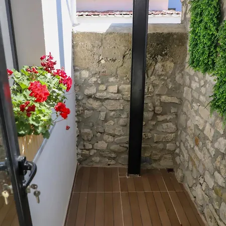 Flower Berat ホームステイ Polisi i Vogel